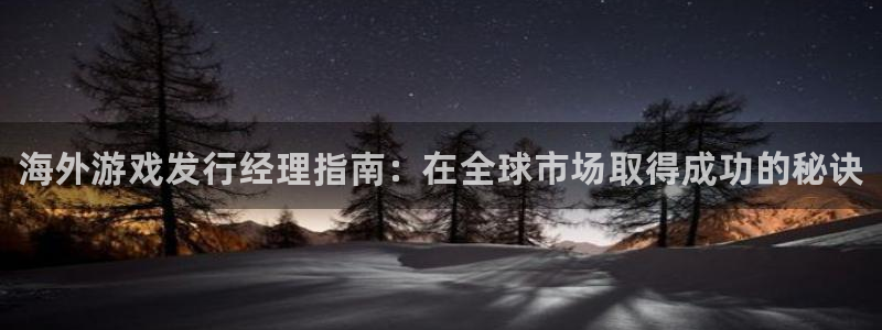 新城平台注册网址查询：海外游戏发行经理指南：在全球市场取得成功的秘诀
